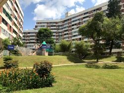 Pandan Valley (D21), Condominium #498533041